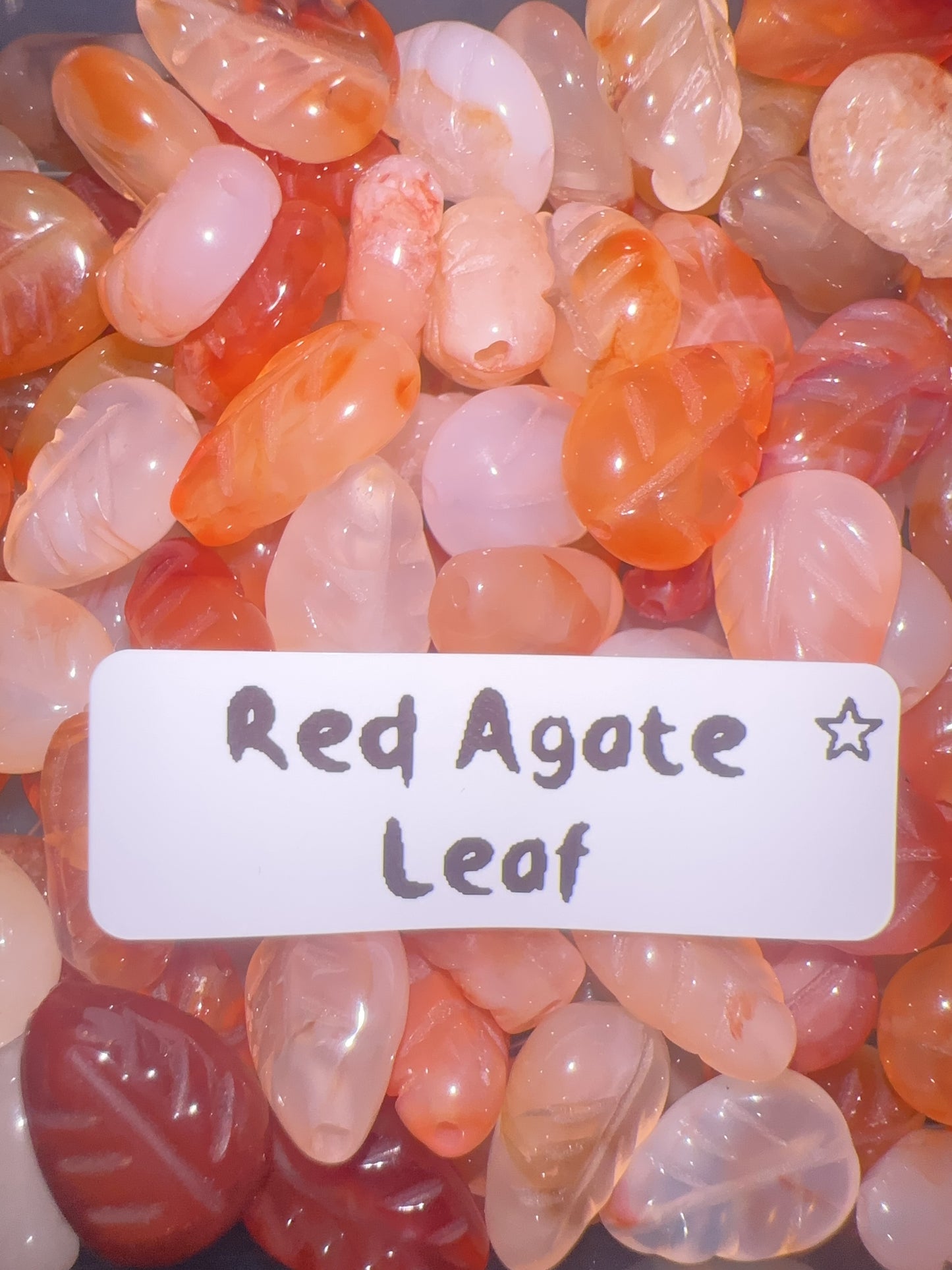 ꕤ Freeform Beads ꕤ